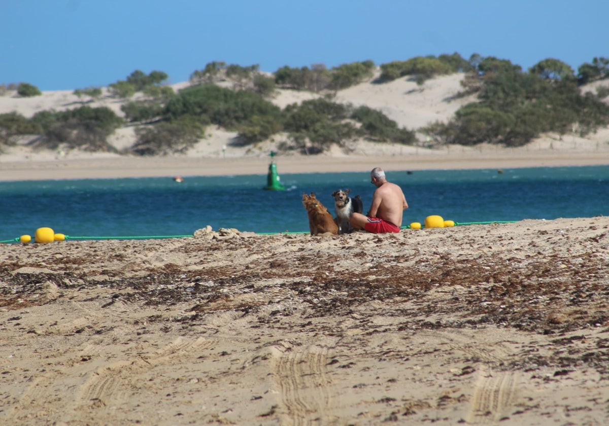 La playa canina de Lavaculos, en Chiclana de la Frontera, es una de las que se encuentra a menos de dos horas en coche de Sevilla