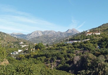La ruta por un valle de frutas subtropicales que puedes hacer por el pueblo con 'el mejor clima de Europa'