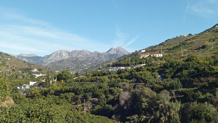 La ruta por un valle de frutas subtropicales que puedes hacer por el pueblo con 'el mejor clima de Europa'