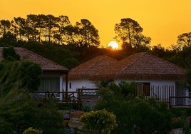 Parece Kenia, pero es Andalucía: así es el hotel 'safari' en el que puedes dormir con leones y monos