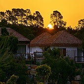 Parece Kenia, pero es Andalucía: así es el hotel 'safari' en el que puedes dormir con leones y monos