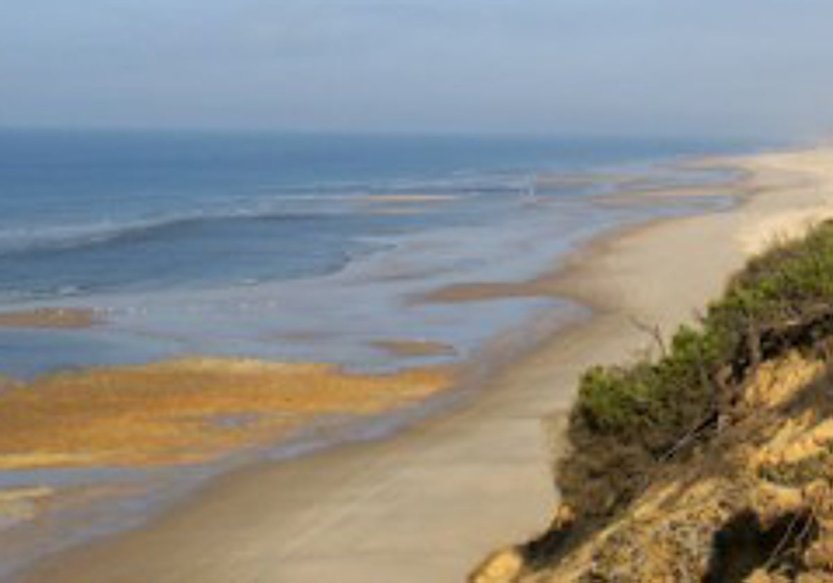 Playa Castilla en Huelva, una zona de la costa virgen