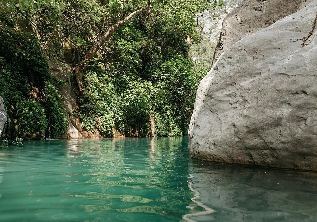 Charco del Infierno (El Pedroso)
