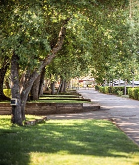 Imagen secundaria 2 - Algunas de las cabañas, bungalows y zona de acampada