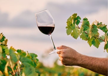 Ocho planes de enoturismo para viajar con los cinco sentidos