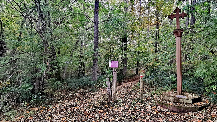 El Robledal de las Brujas