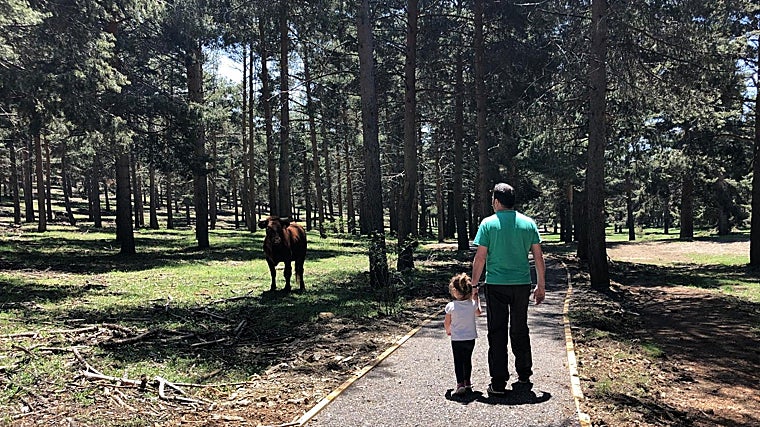 Visitarlo es una oportunidad para que los niños estén en contacto con la naturaleza
