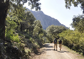 Las rutas de senderismo fáciles por los picos más altos de Andalucía: dónde están y cuánto miden