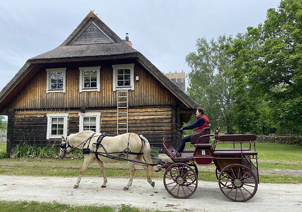 Granja Tihuse en isla de Muhu, donde se puede montar a caballo
