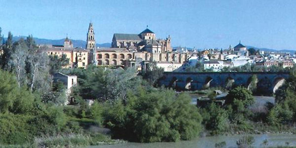 La única ciudad de España con más molinos está en Andalucía: «Pocas urbes europeas conservan tantos»