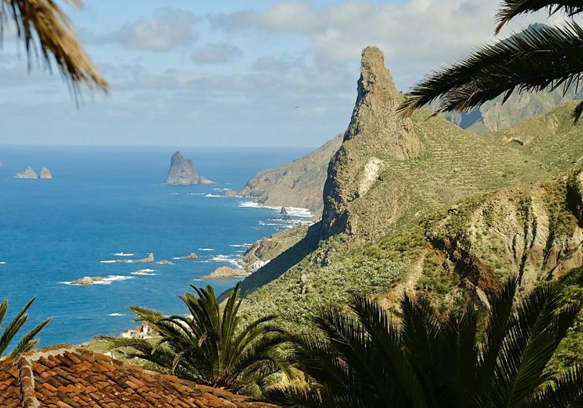 Explora, degusta y disfruta Tenerife en un solo vuelo directo desde tu ciudad