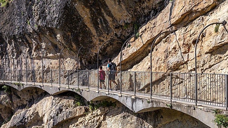 Descubre el Pontón de la Oliva, la presa del siglo XIX que quiso dar agua a Madrid