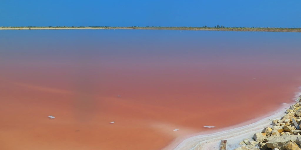 Así son las salinas más grandes de Europa, en el norte de Apulia