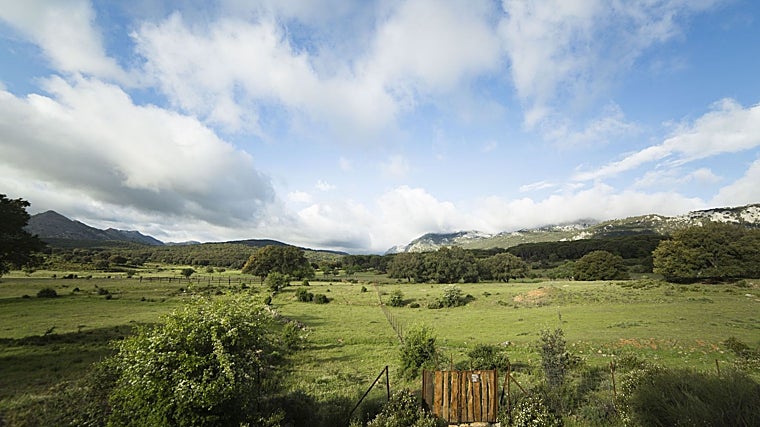 Parque Natural Sierra de la Grazalema