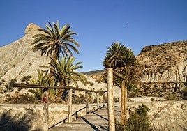 La ruta de senderismo que tienes que hacer sí o sí en Almería: es llana y pasa por escenarios de Hollywood