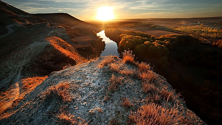 Campiña del Pisuerga