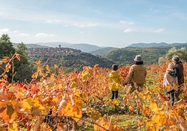 Nueve rutas de vino imprescindibles para descubrir los paisajes más sorprendentes de Castilla y León