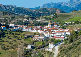 La Fiesta del Mosto con 40 años de antigüedad se celebra en este pueblo de Andalucía