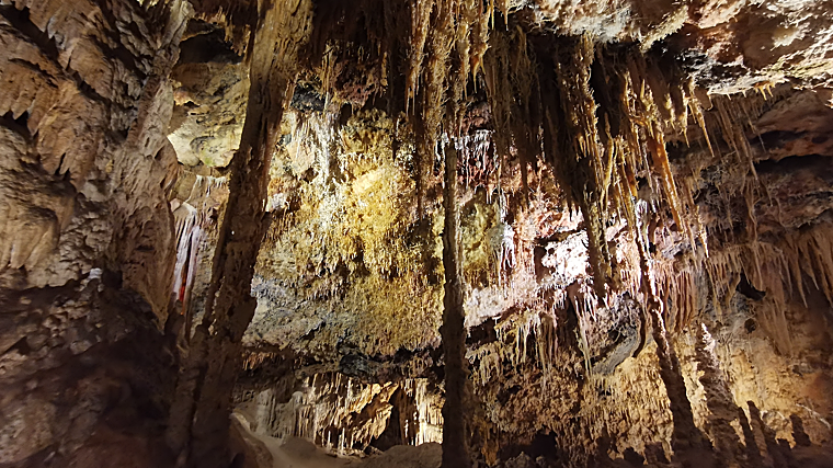Aquí se encontró la mandíbula del que podría ser  el homínido más antiguo de Aragón