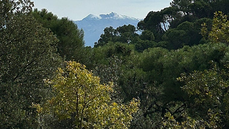 Exuberante paisaje desde la cumbre, con la sierra al fondo