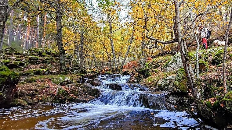 Trilha dos Bétulas de Canencia