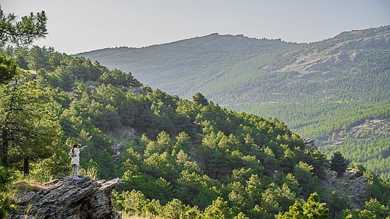 Serra de los Filabares