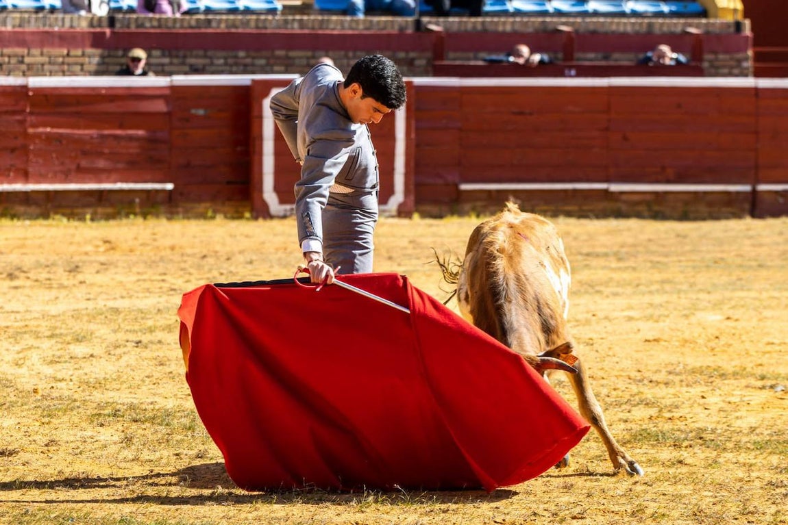 Las imágenes del ‘Tentadero Público’ en homenaje al abonado en la Plaza de Toros de La Merced