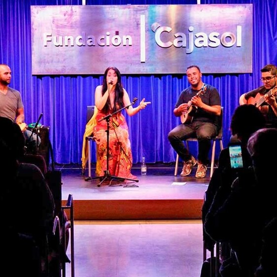 Actuación en la Fundación Cajasol