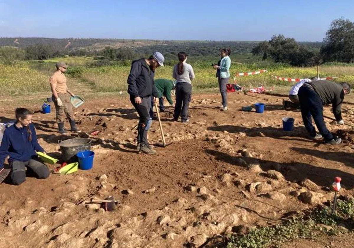 Campaña de excavación en Tejada la Vieja en enero de 2024