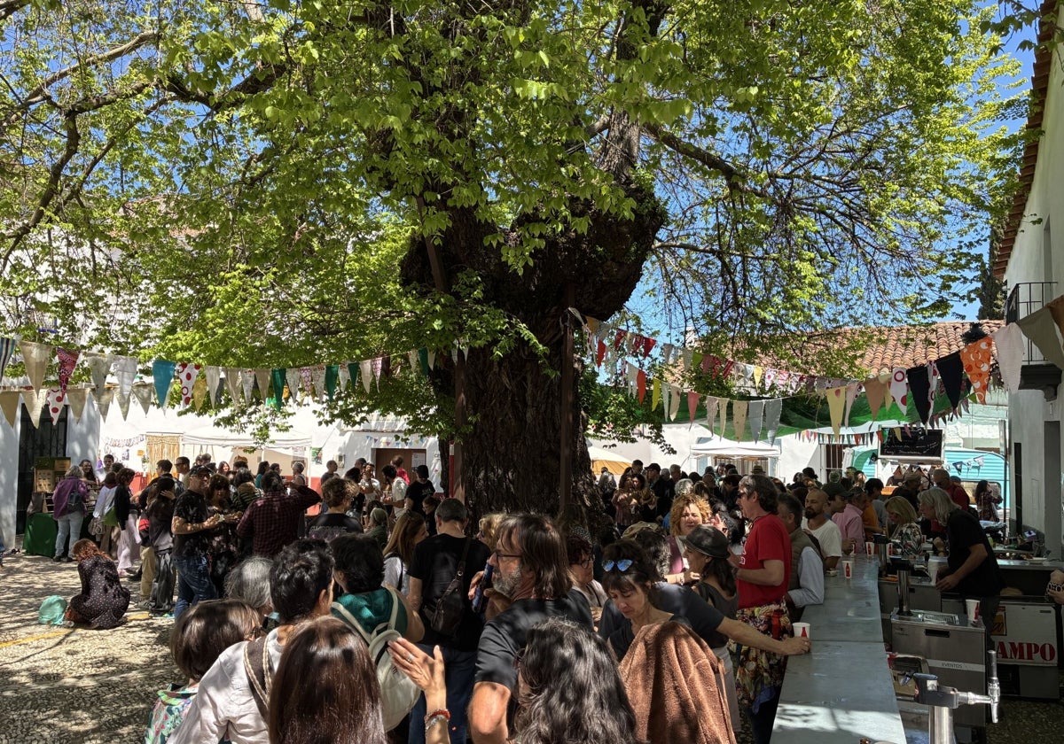 La plaza del Olmo milenario de Cortelazor la Real