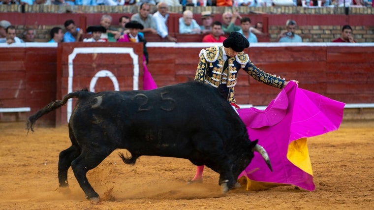 Daniel Luque