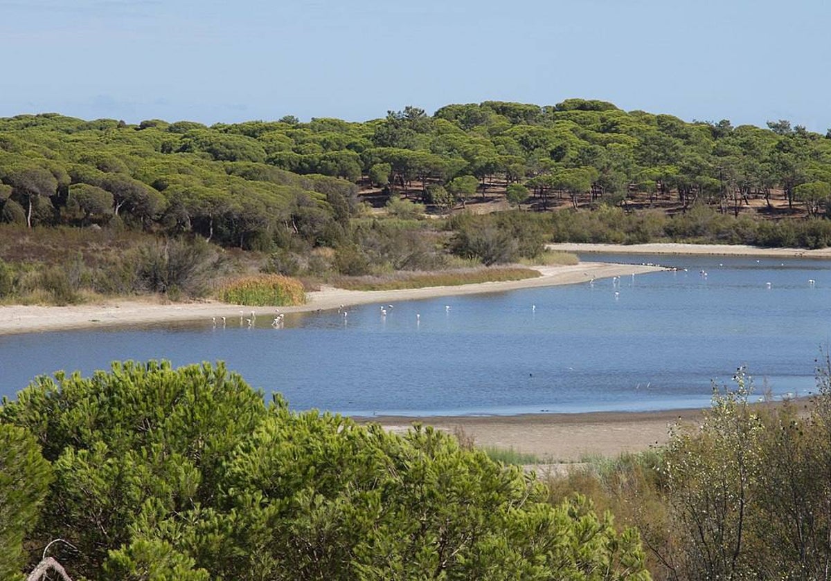 La carrera se disputará en el entorno de la Laguna de El Portil