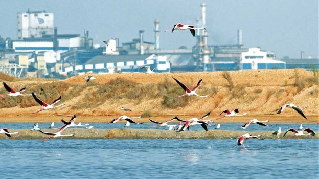 La planta onubense junto a las marismas del Odiel