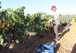 Datos del paro: Huelva mantiene el desempleo a raya gracias a la agricultura