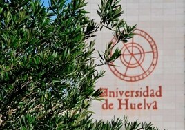 Un olivo en el campus del Carmen de la Universidad de Huelva