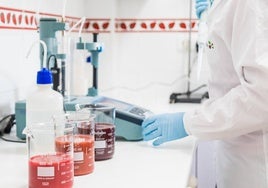 Hudisa obtiene un año más las certificaciones más exigentes en calidad y seguridad alimentaria