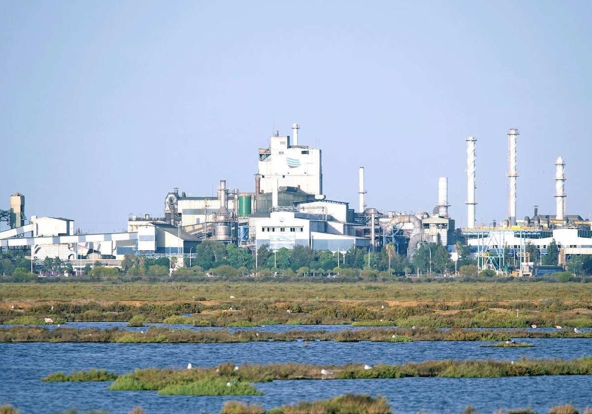 Parada general con 330 actividades de mantenimiento en Atlantic Copper