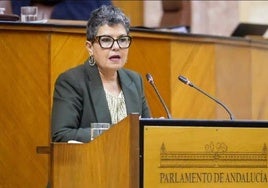 Adelante Andalucía presenta casi 200 enmiendas a los presupuestos de la Junta para Huelva