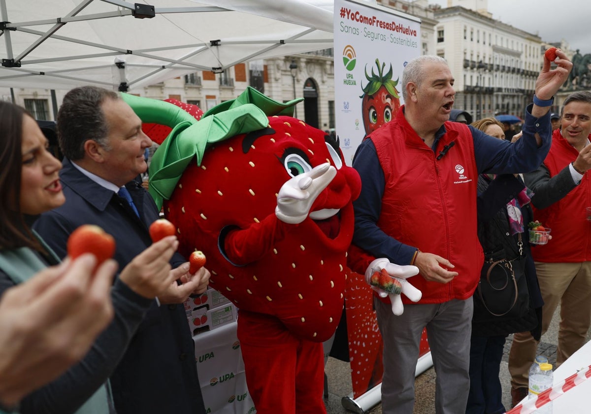 Reparto de fresas de Huelva en la puerta del Sol de Madrid