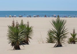 La  ocupación hotelera en Huelva rozó el 80% durante la Semana Santa a pesar de la lluvia