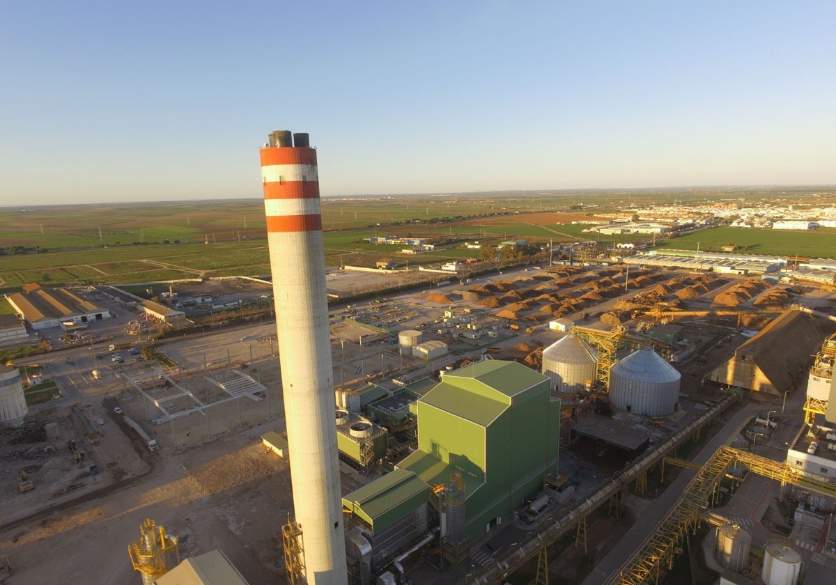 La planta de Ence en Huelva de generación con biomasa