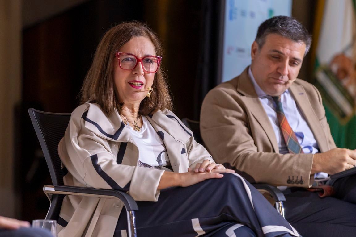 El I Foro Nacional de Minerales Críticos, en imágenes