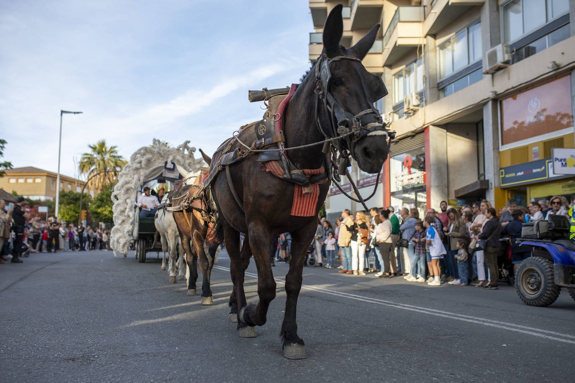 Y Huelva volvió del Rocío