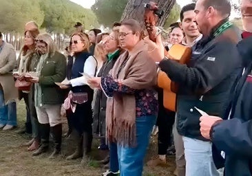 Huelva suspende la convivencia en Gato de la peregrinación extraordinaria al Rocío por las lluvias