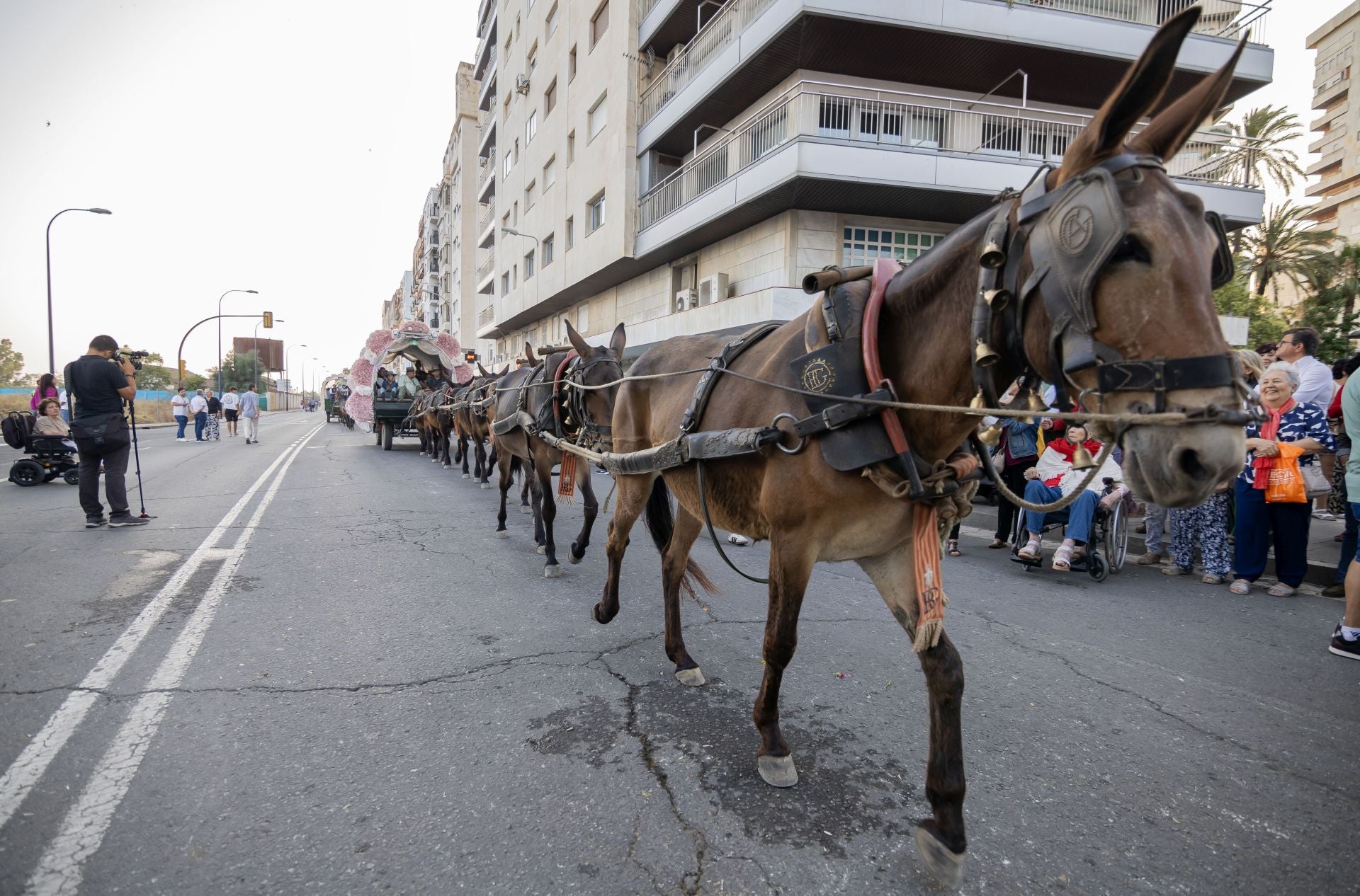 El regreso de las hermandades del Rocío de Huelva y Emigrantes, en imágenes