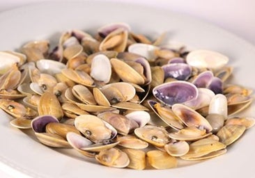 Dónde comer las mejores coquinas de Huelva: restaurantes, bares y chiringuitos