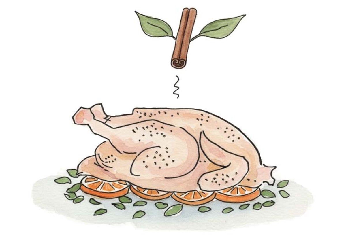 Dibujo de nuestro pollo con algunos de los ingredientes