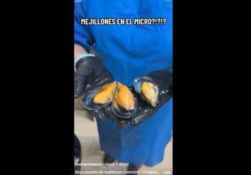 Noe, pescadera, revela el truco definitivo para cocer los mejillones en el microondas: «Esto es un espectáculo»