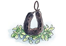 Ensalada de morcilla: la sorprendente y saludable receta que te dejará sin palabras