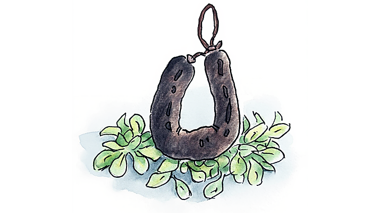 Ensalada de morcilla: la sorprendente y saludable receta que te dejará sin palabras